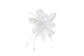 Favor Sugared Almonds with white ribbons Selezione Zanolli