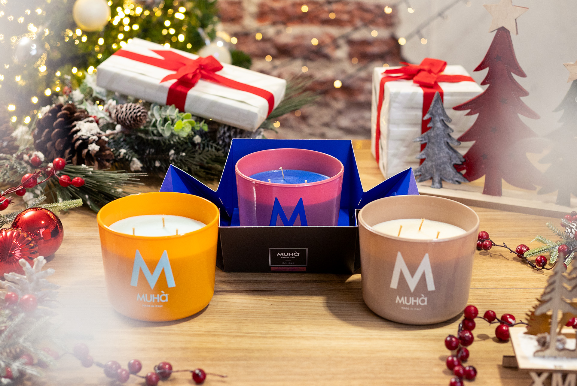 regali-di-natale-per-lei-vaso-cactus
